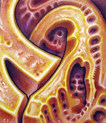 Art Galleries - bio 